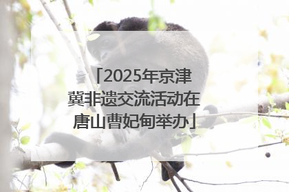 2025年京津冀非遗交流活动在唐山曹妃甸举办